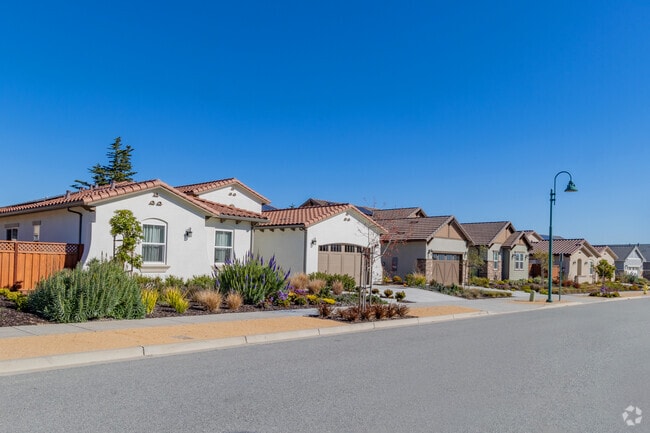 Craftsman-style houses are abundant in Marina.