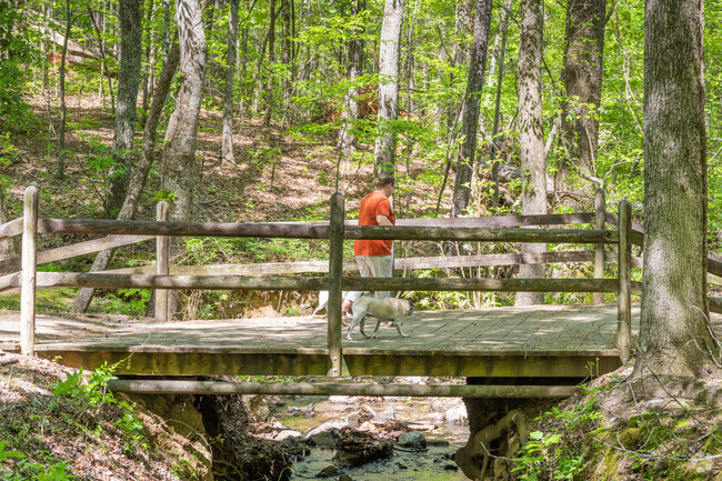 Saks, Alabama, is a captivating place brimming with stunning natural beauty that will leave you in awe.