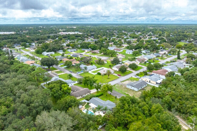 Deep Forest Village is nestled in amongst the trees.