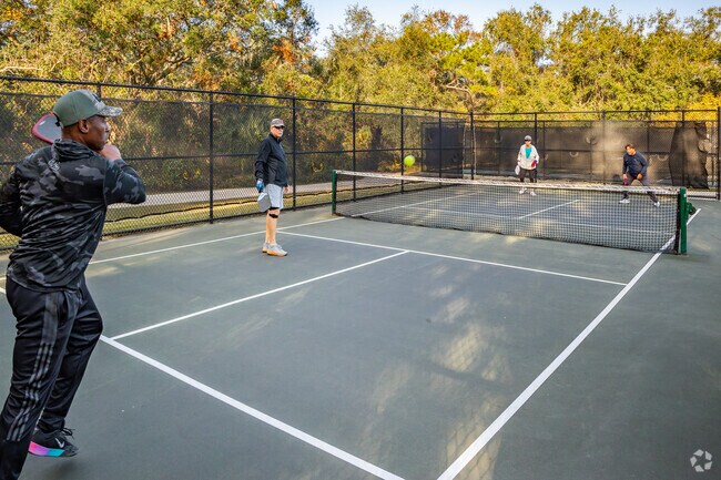 Pickle baal is ver popular in Leesburg's PEAR park.