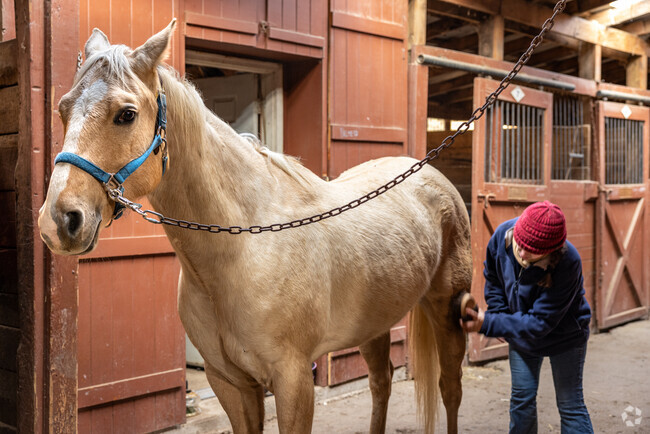 Spring Valley Equestrian Center in Fredon gives the upmost care and attention to its horses.