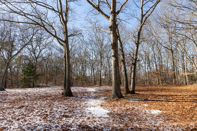 Coram has plenty of open land and tree lined parks to enjoy.