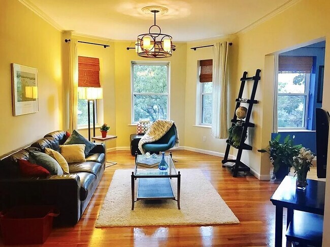 170 Thorndike St unit 1, Brookline, MA 02446 - photo 7