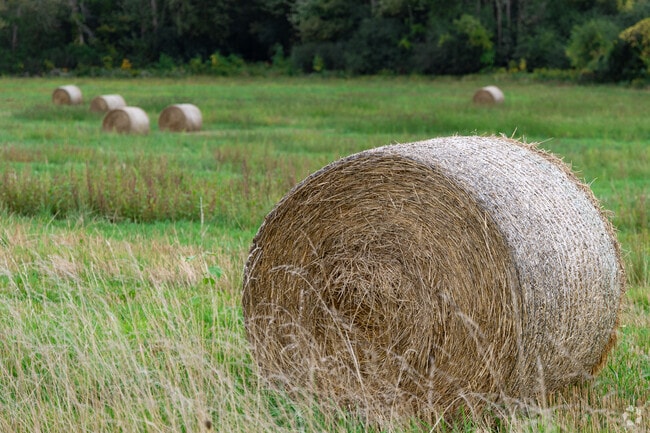 Fleming offers a rustic atmosphere, set away from the larger towns and cities that surround it.