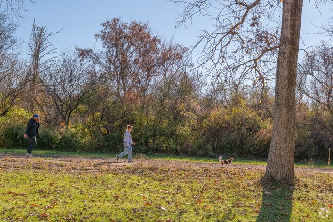Locals can walk their dogs at the Lehigh Valley Trail.