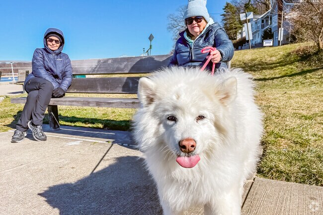 Sea Cliff Beach boardwalk is a favorite for walks and sunset views.