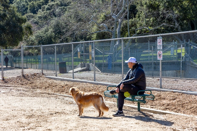 You can find Crescenta Valley Dog Park nearby Sunland for a nice outdoor adventure.