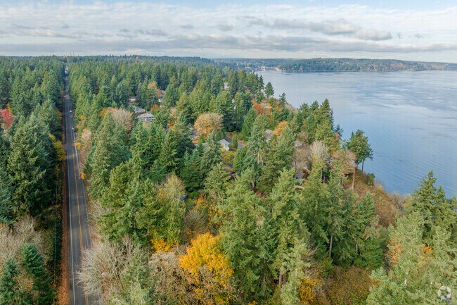 Reid Drive NW winds through Shore Acres’ wooded streets.