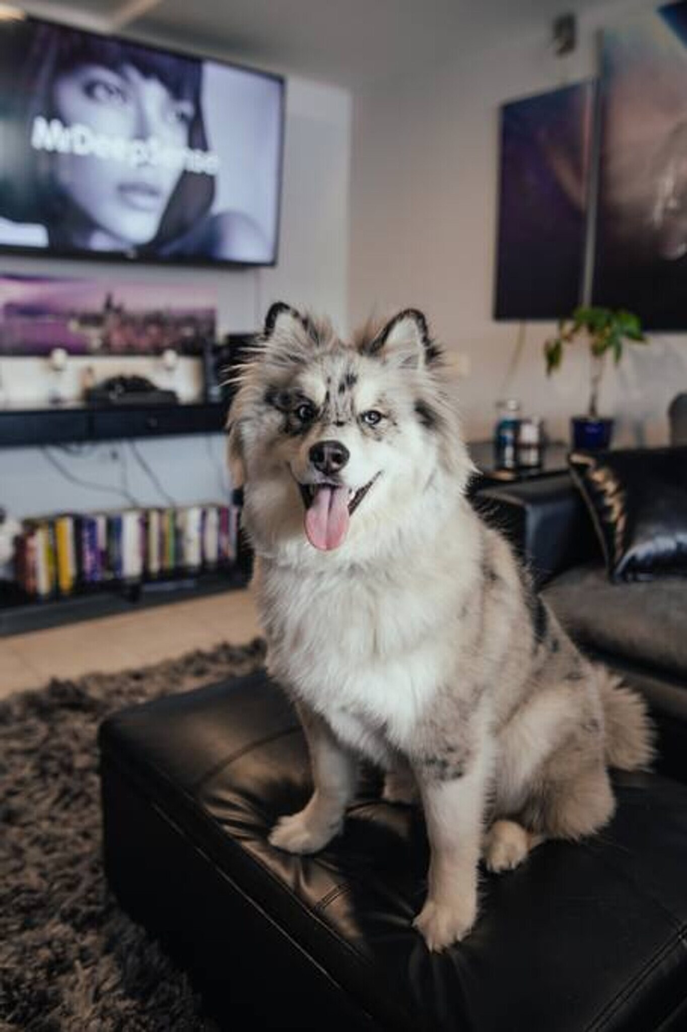 6041 S Keating Ave unit ID1244910P, Chicago, IL 60629 - photo 1