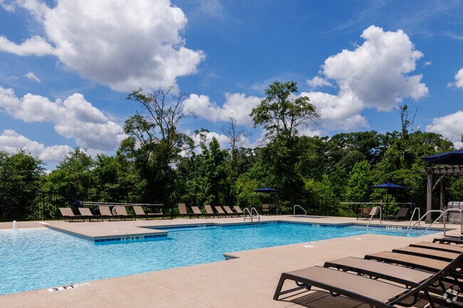 The Pointe at Camellia Commons - Pool Area