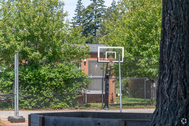 Trinity Classical School basketball court