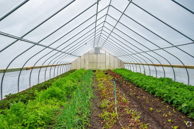 Growing Home Farm and Training Center in Englewood grows a vast variety of organic produce.