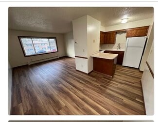 120 Mississippi Place NE Unit 4, Fridley, MN 55432