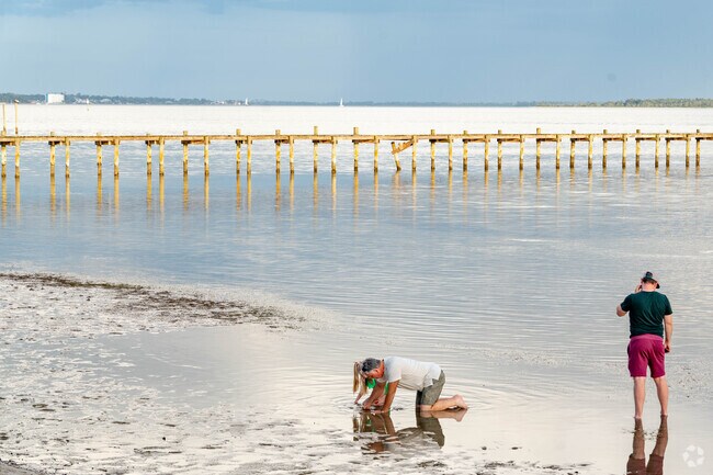 Low tide on Saint Andrews Bay is the perfect time for shelling.