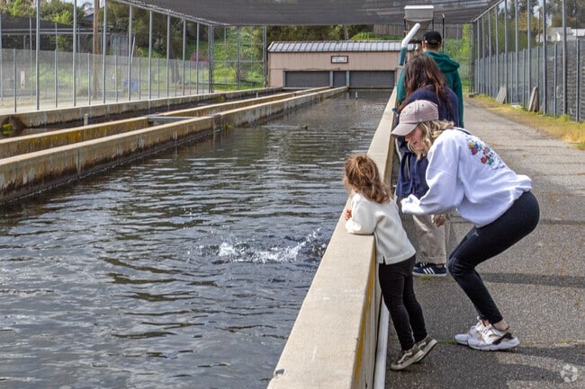 Feed the trout at San Joaquin Hatchery in Friant.
