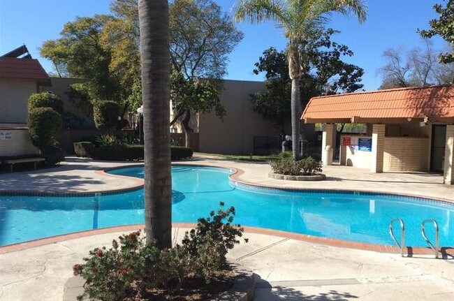 Pool/Sauna/Hot tub/BBQ area