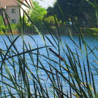 243 Arrowhead Dr Unit 8, Mukwonago, WI 53149