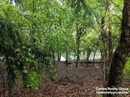 69 Saco St, Newton Upper Falls, MA 02464 - photo 4