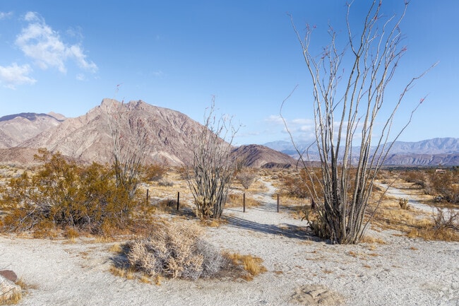 The beauty of Anza-Borrego Desert State Park features stunning backdrops that echo bliss of the desert.