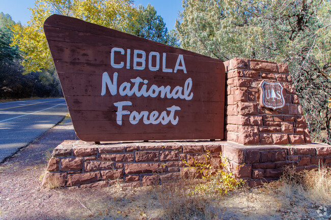 Southeast of central Tijeras is the 1.6 million-acre Cibola National Forest.