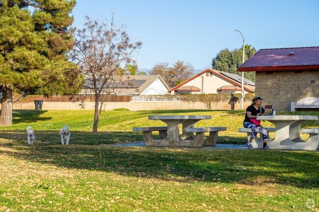 Enjoy the fresh air and open spaces of Equestrian Downs with your dog.