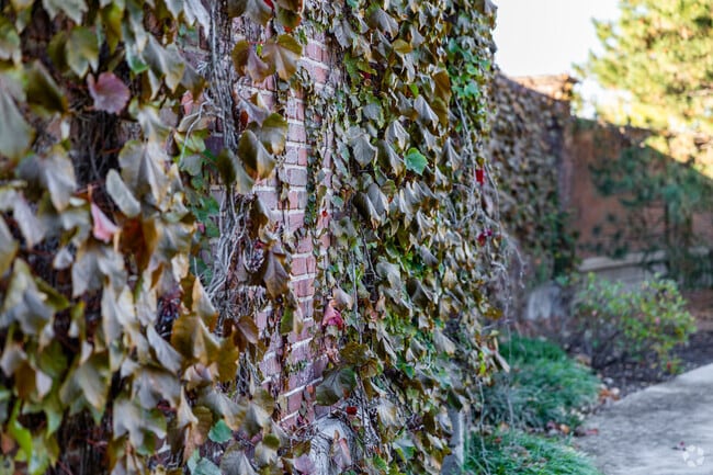 The red brick walls at Eastborough Park have leaf vinyl near Village.