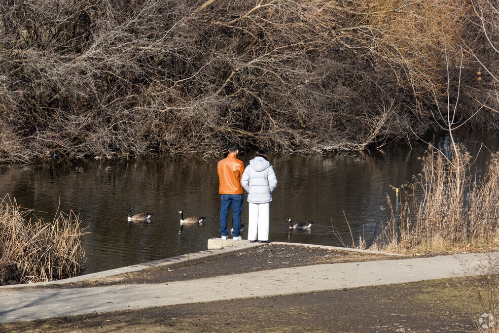 NH_Chicago Lawn_532484_P2_FINAL_CC_040225