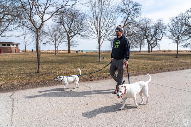 Loyola Park is a popular place for residents of Rogers Park to walk their dogs.
