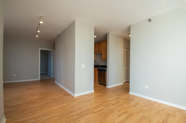 301 W Ohio St unit 1004, Chicago, IL 60654 - photo 6