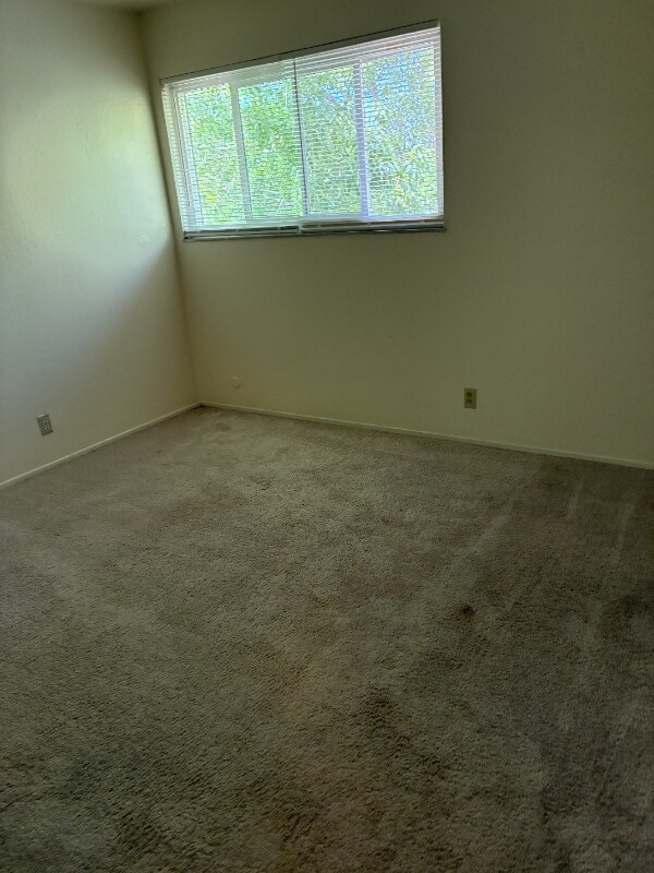 40470 Grimmer Blvd, Fremont, CA 94538 - photo 7