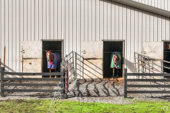 Residents enjoy Chehalis’s rural charm and access to outdoor recreation.