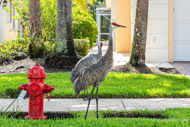 The area is home to a rich variety of native wildlife.