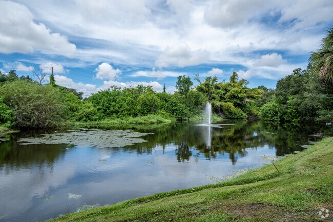 Pond