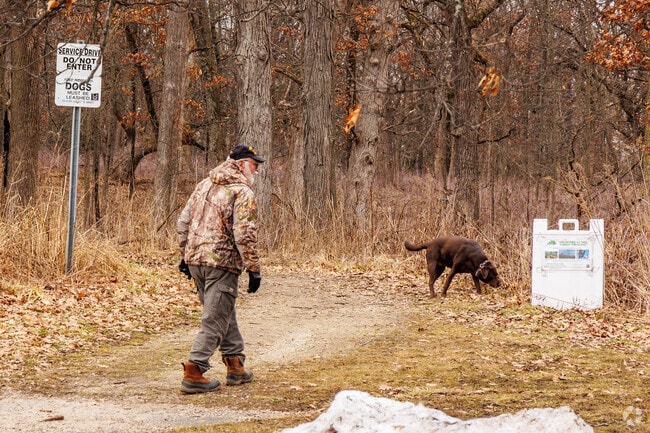 A resident of South Hoffman Estates begins their daily dog walk with their dogs.