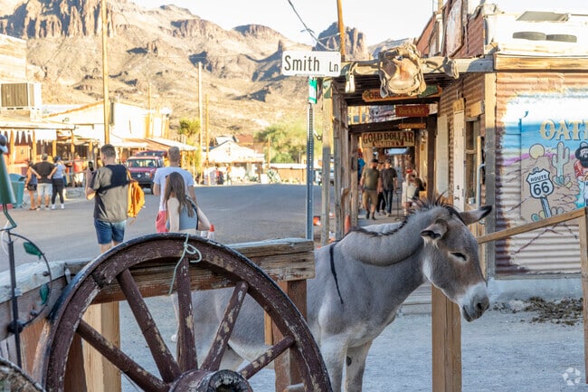 Fort Mohave residents will enjoy taking visitors to Oatman for a Wild West experience.
