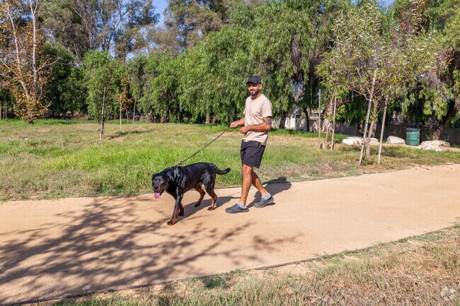 DeForest Park has a great enclosed dog park with amazing trails.