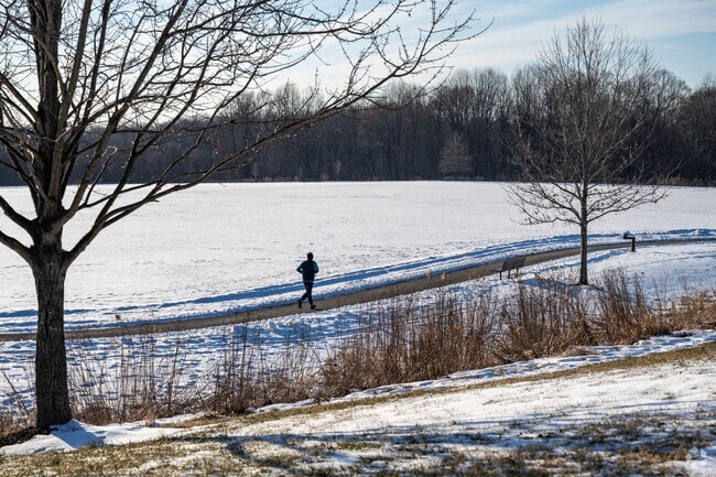 Go for a jog in Fulton at Schooley Mill Park on a snowy day.