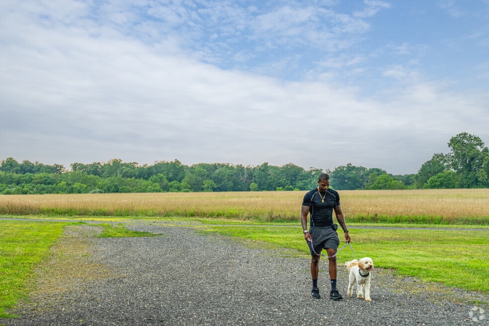 Buena Vista Township