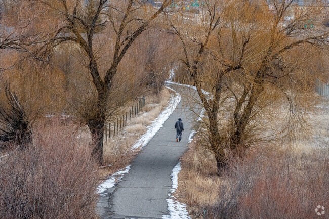 Williamsburg residents enjoy walks down the Blacktail Creek Trail in Butte, Montana.