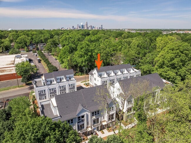 1219 E 34th St unit 317, Charlotte, NC 28205 - photo 7