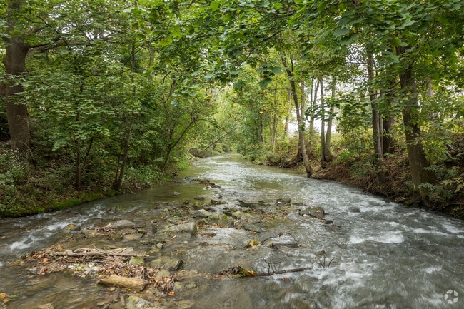 Tulpehocken Creek runs through the heart of Myerstown Quarry Lake Park.