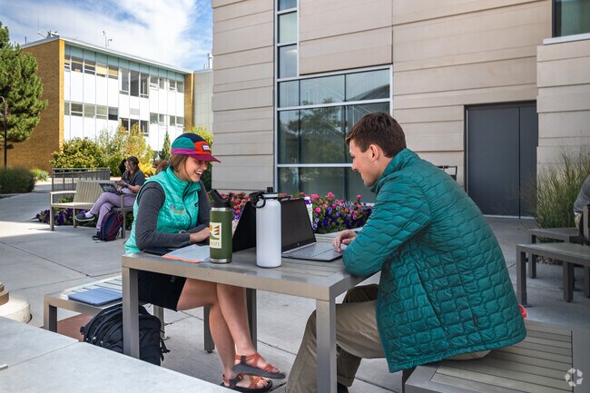 Students study on campus at Utah State University near Wilson.