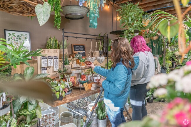 Find home decor and beautiful plants at Savvy Garden & Home near Bryant.