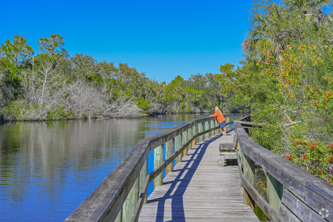 Stroll the boardwalk or try your hand at bird watching at Sanchez Park.