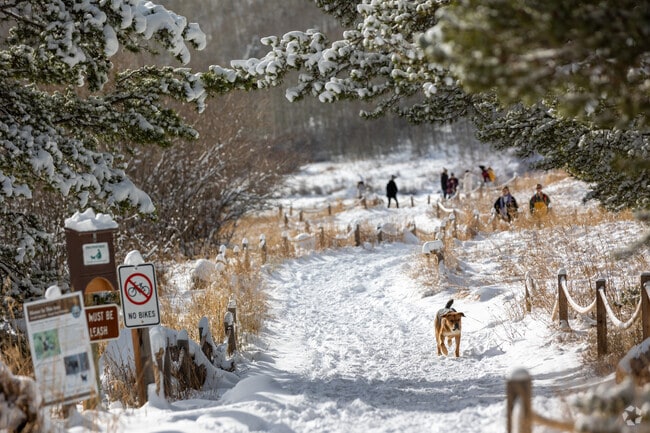 A snowy path to Maroon Bells invites hikers to enjoy nature's tranquil splendor.