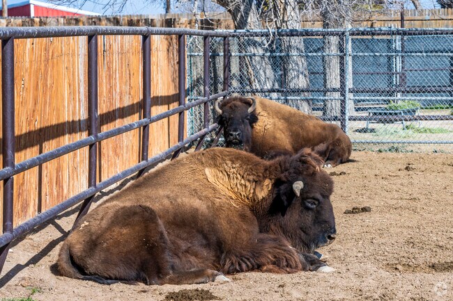 The 34-acre Spring River Zoo in the northeast section of the city includes lemurs and buffalo, and is free to visit.