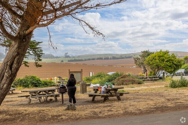 Watsonville locals love Sunset State Beach for its easy access and scenic views.