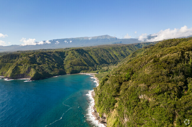 The region receives abundant rainfall, contributing to its lush landscapes and vibrant vegetation .