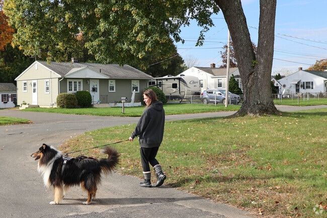 Residence enjoy taking their dogs for walks in the Sandy Hill neighborhood.
