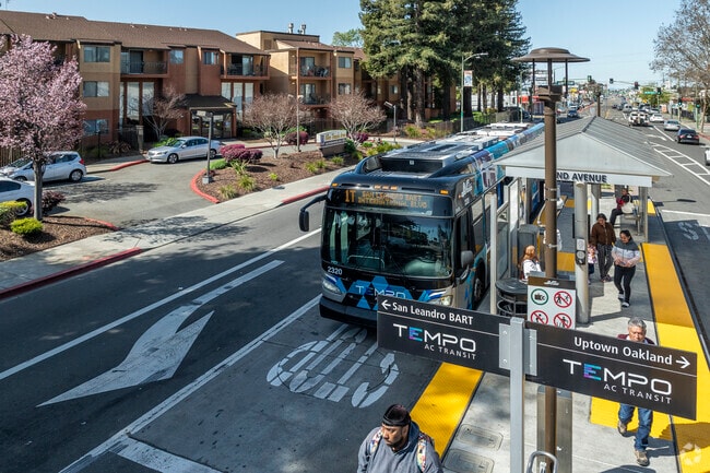 Webster is serviced by the Tempo bus line.